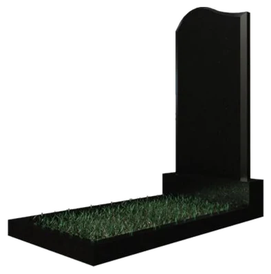 Памятник DZ101