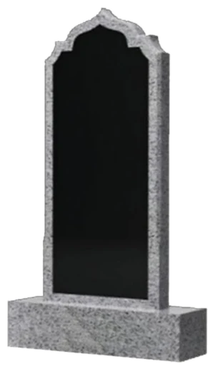 Памятник DZ121X