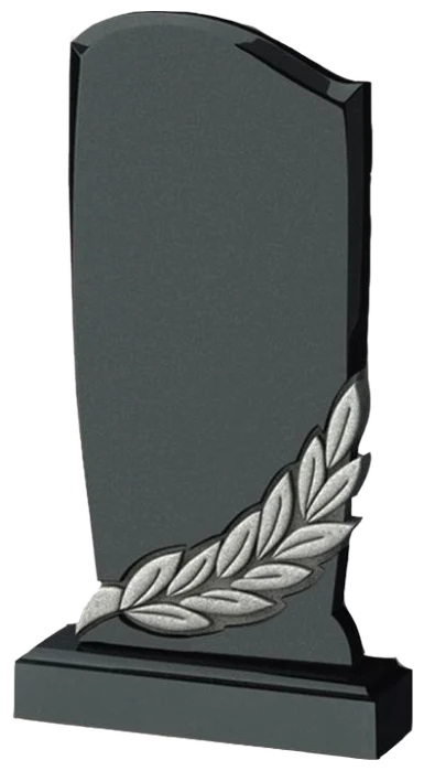 Памятник TZ113