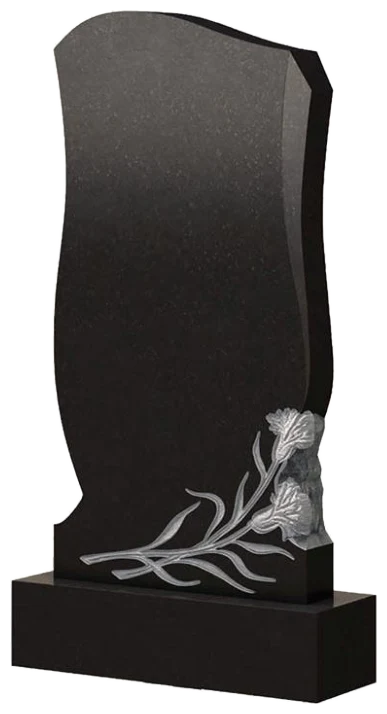Памятник TZ116