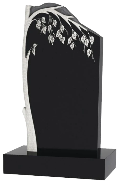 Памятник TZ119
