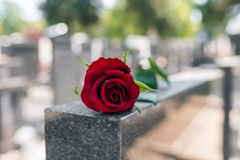 Какие цветы приносят на похороны и сколько